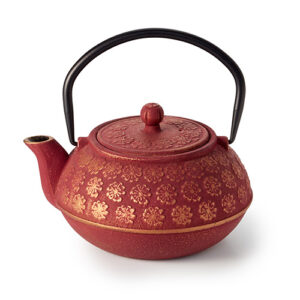 CAST IRON TEAPOT / GUIZHOU 0.5L