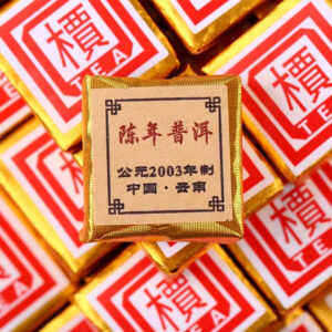 RIPE PU ERH MINI BRICKS, 2003, JIA ZHI ZHUAN
